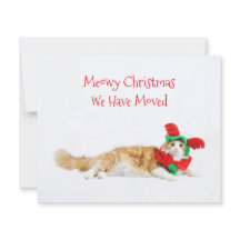 Budget Funny Cat Kerstmis Bewegend Nieuw Adres