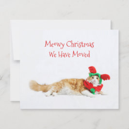 Budget Funny Cat Kerstmis Bewegend Nieuw Adres