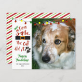 Budget Funny Dog Photo Holiday Greeting Card (Voorkant / Achterkant)