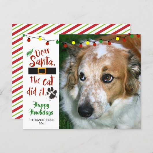 Budget Funny Dog Photo Holiday Greeting Card (Voorkant / Achterkant)