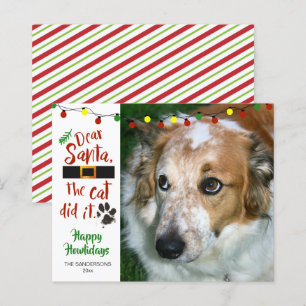 Budget Funny Dog Photo Holiday Greeting Card