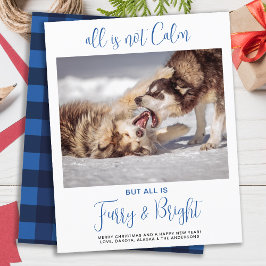 Budget Funny Pet All is geen Kalm kerstfeest
