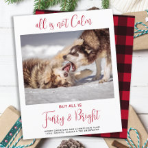Budget Funny Pet Furry & Bright Foto met Kerstmis