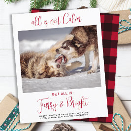 Budget Funny Pet Furry & Bright Foto met Kerstmis