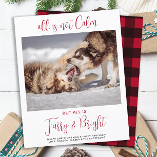 Budget Funny Pet Furry & Bright Foto met Kerstmis