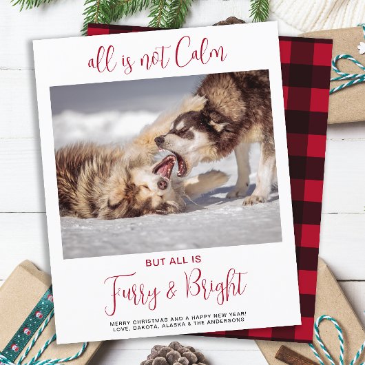 Budget Funny Pet Furry & Bright Foto met Kerstmis