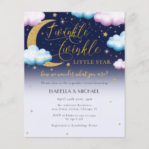 Budget Geslacht onthullen Twinkle Twinkle Little S Flyer