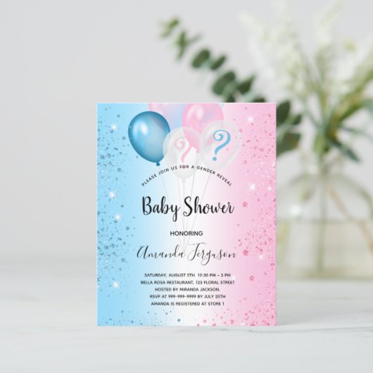 Budget geslacht onthulling baby shower roze blauwe (Staand voorkant)