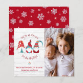 Budget Gnome voor Feestdagen Rustieke Schattigee F (Voorkant / Achterkant)