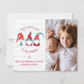 Budget Gnome voor Feestdagen Rustieke Schattigee F (Voorkant)