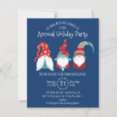 Budget Gnomes kerstfeestdag (Voorkant)