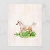 Budget Go baby gaat met baby shower van paardenfok (Achterkant)