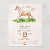 Budget Go baby gaat met baby shower van paardenfok (Voorkant)