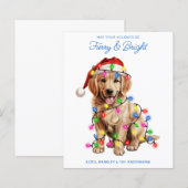 Budget Golden Retriever Dog Furry & Bright Kaart (Voorkant / Achterkant)