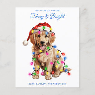 Budget Golden Retriever Dog Furry & Bright Kaart