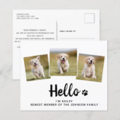 Budget Hallo Foto Puppy Dog Nieuwe Aankondiging va (Voorkant / Achterkant)