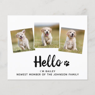 Budget Hallo Foto Puppy Dog Nieuwe Aankondiging va