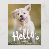 Budget Hallo New Pet Photo Puppy Dog Aankondiging (Voorkant)