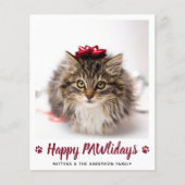 Budget Happy PAWlidays Kat Pet Foto Kerstmis (Voorkant)