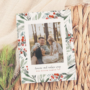 Budget Heaven Natuur Zing Kerstmis Foto Vakantie