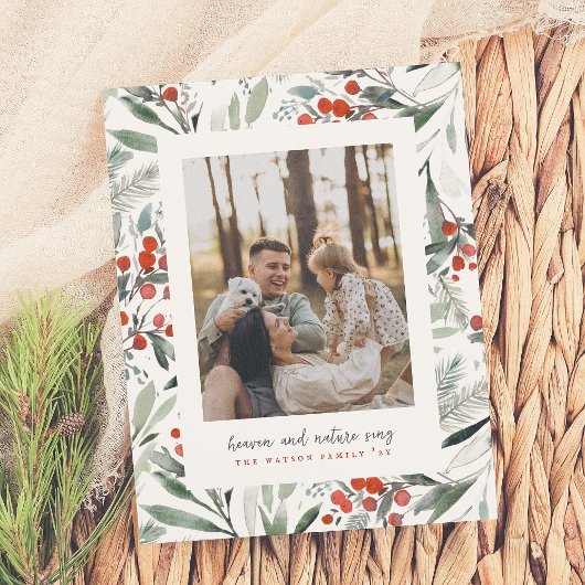 Budget Heaven Natuur Zing Kerstmis Foto Vakantie