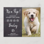 Budget Het is een Pup New Pet Puppy Dog Aankondigi (Voorkant)