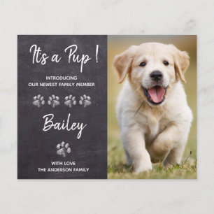 Budget Het is een Pup New Pet Puppy Dog Aankondigi