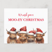 Budget Highland Koe Kerstmis Kaart (Voorkant)