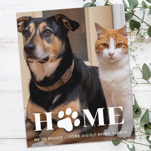 Budget Home Aangepaste Huisdier Foto Weve Verplaat