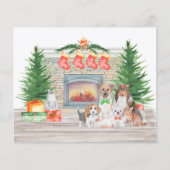 Budget Hondenliefhebber Happy Pawlidays Kerstmis K (Voorkant)