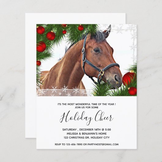 Budget Horse Equine Kerstmis Pony Uitnodiging (Voorkant / Achterkant)