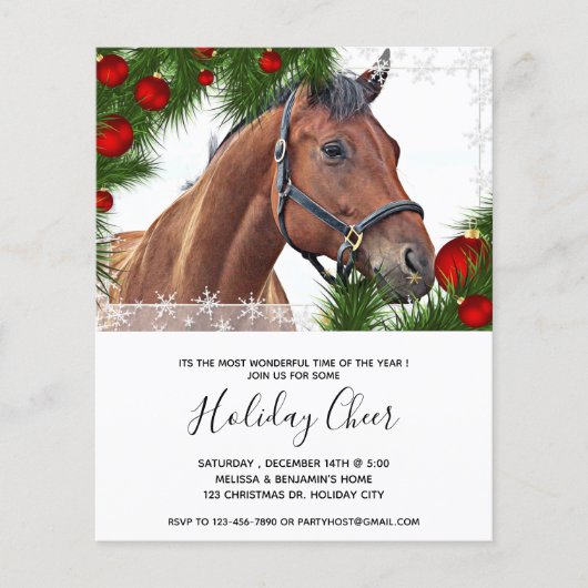 Budget Horse Equine Kerstmis Pony Uitnodiging (Voorkant)