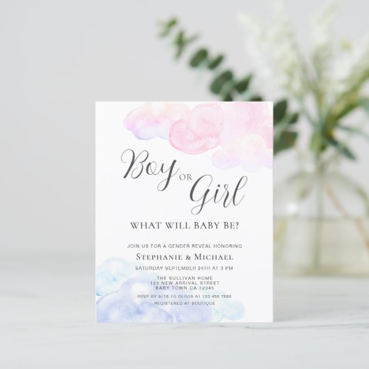 Budget Jongen of Meisje Geslacht Onthullen Party U (Staand voorkant)