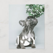 BUDGET Joy Dog Paw-fotokaart voor kerstmis (Voorkant)