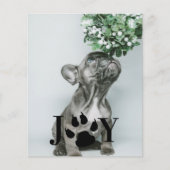 BUDGET Joy Dog Paw-fotokaart voor kerstmis (Voorkant)