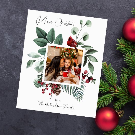 Budget Kardinaal Bird & Pine Merry-kerstfoto Flyer