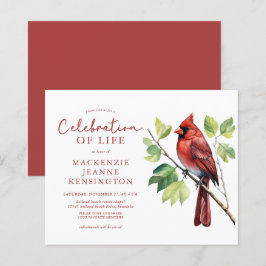 Budget Kardinaal Vogel Viering van het Leven Memor