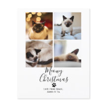 BUDGET Kattekerstfeest Huisdier Katten Kerstkaart