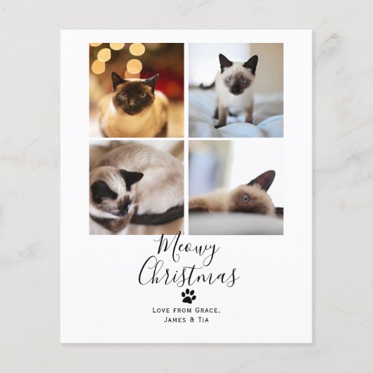 BUDGET Kattekerstfeest Huisdier Katten Kerstkaart (Voorkant)