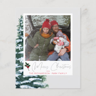 Budget Kerstboom, Hulst & Instant Foto Grijs Flyer