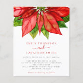 Budget kerstbruiloft Grote Rode Poinsettia (Voorkant)