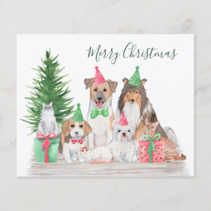 Budget kerstdieren Dog Cat Puppy Kitten Kaart