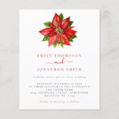 Budget kerstfeest Rood Poinsettia (Voorkant)