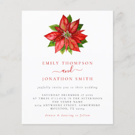 Budget kerstfeest Rood Poinsettia