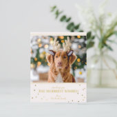 Budget kerstfoto (Staand voorkant)