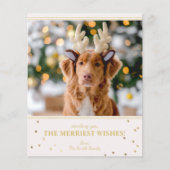 Budget kerstfoto (Voorkant)