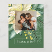 BUDGET kerstwinter, bloem vrede en foto's met vreu (Voorkant)