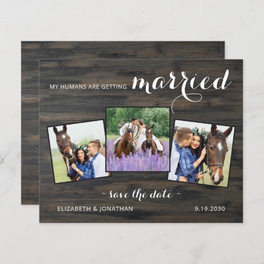 Budget Land 3 Fotopaard Weddenschap sparen de datu (Voorkant / Achterkant)