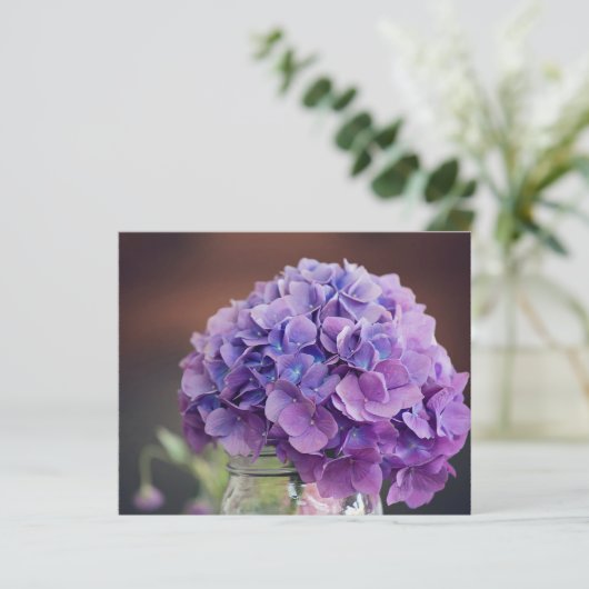 Budget Lavender Paars Hydrangea (Staand voorkant)
