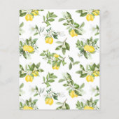 Budget Lemon Citrus Birthday Picnic Flyer (Achterkant)